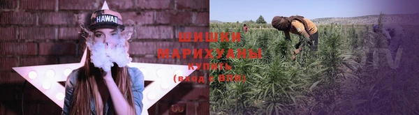 ALPHA PVP Карталы